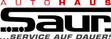 Logo Autohaus Saur Gmbh & Co. KG